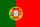 PT drapeau