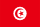 TN drapeau