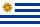 UY drapeau